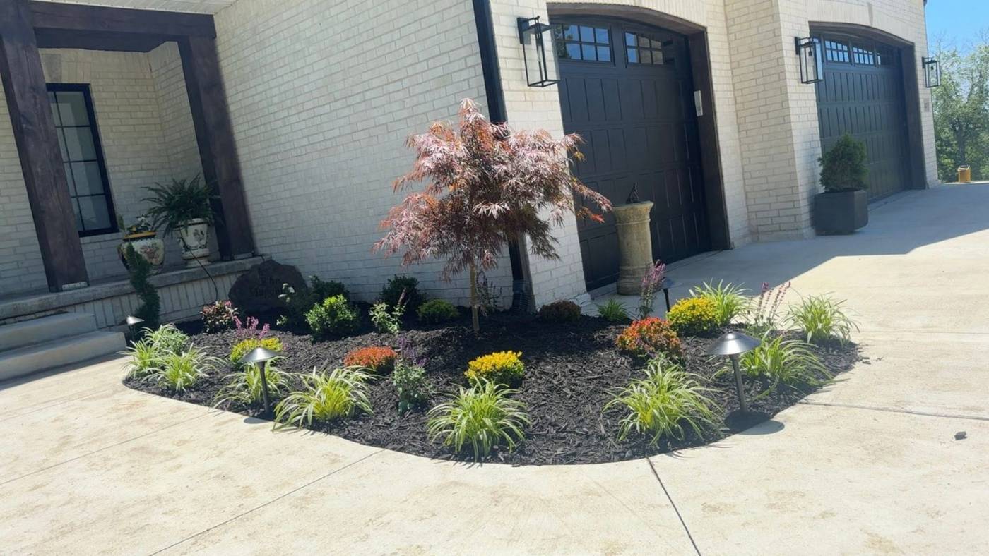 Entry bed with Japanese maple, grasses and landscape lighting