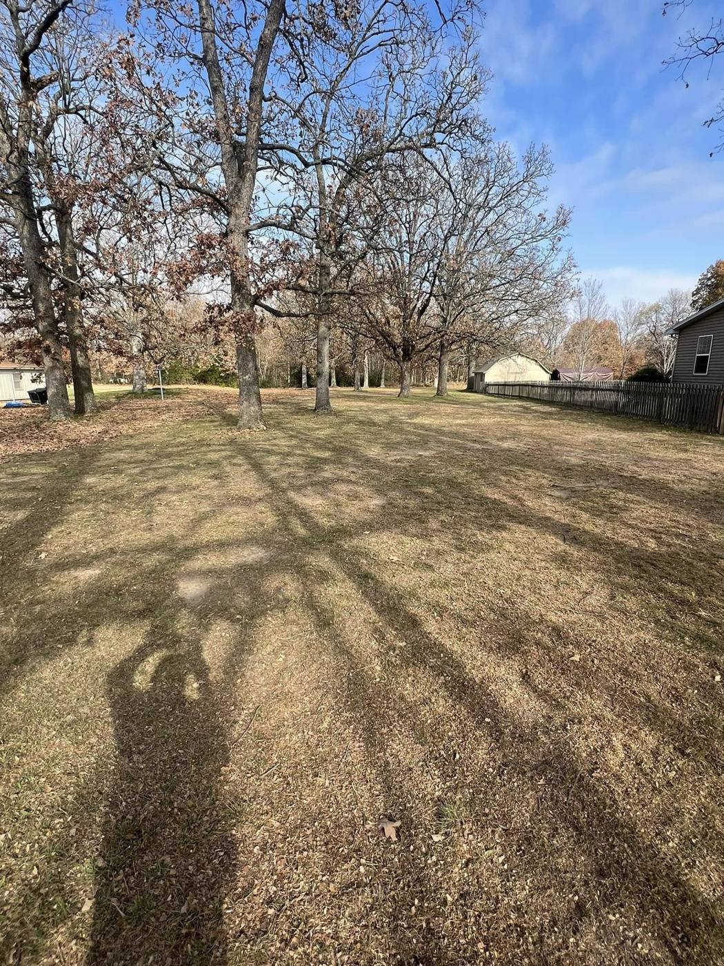 Same backyard with the leaves cleared off the lawn