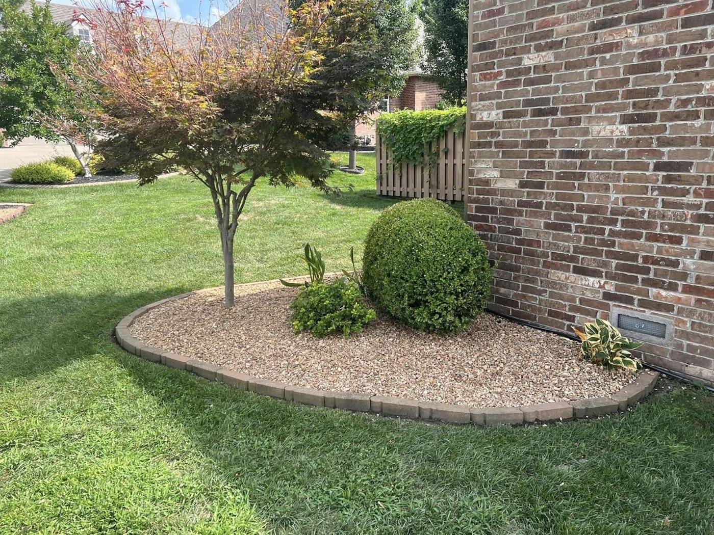 Mulched bed with brick edging around a Japanese maple