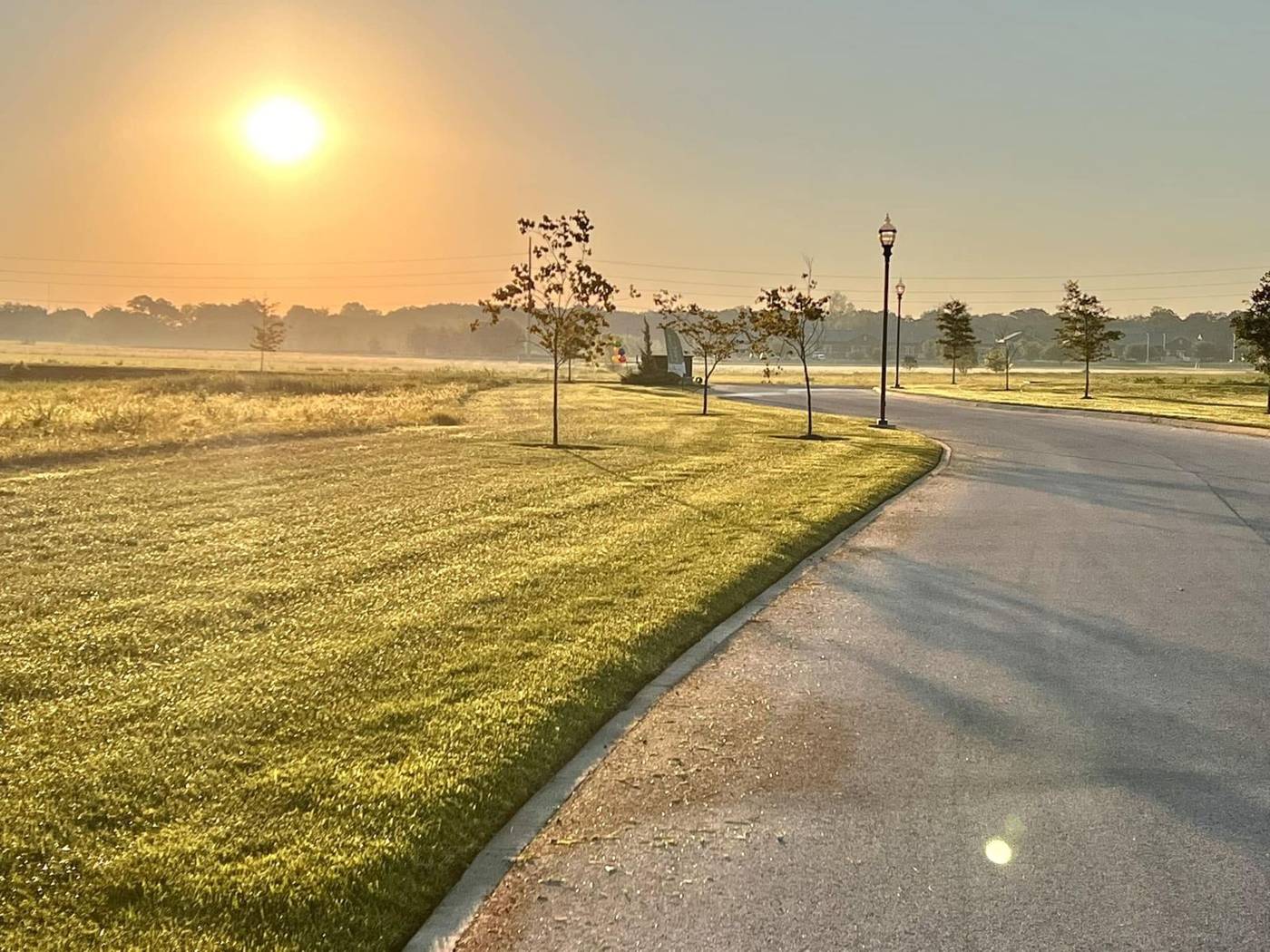 Thick green lawn along a curving road at sunrise